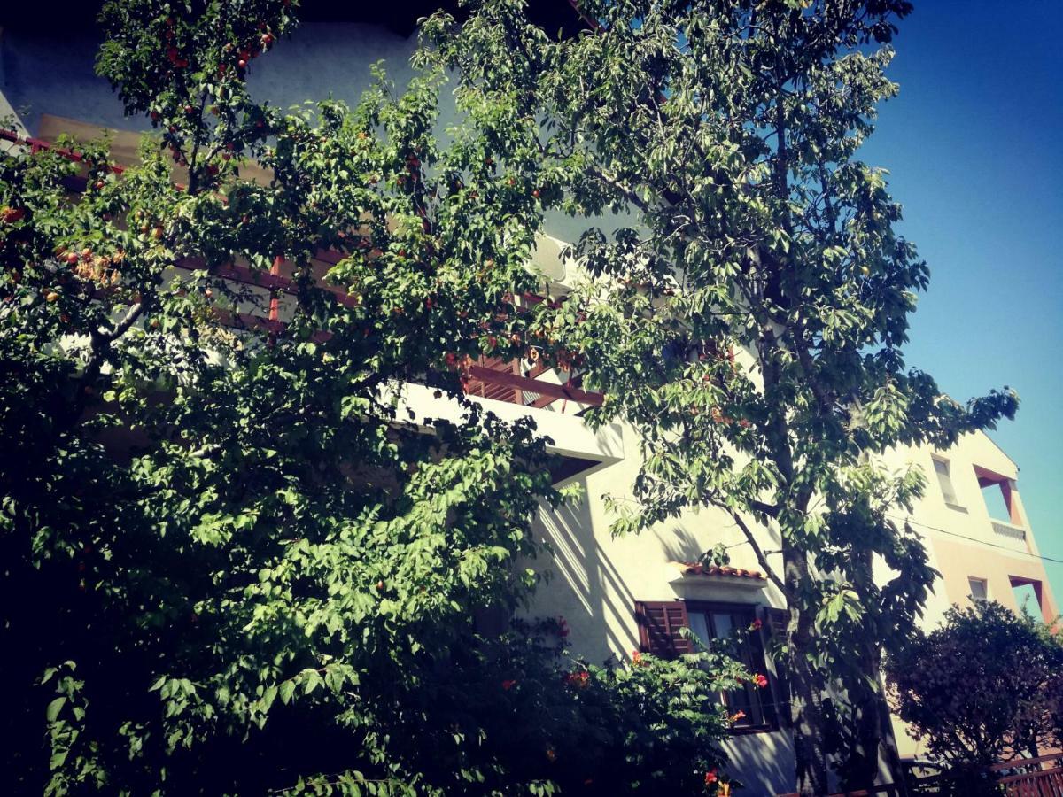 Villa Letina Sukošan Esterno foto
