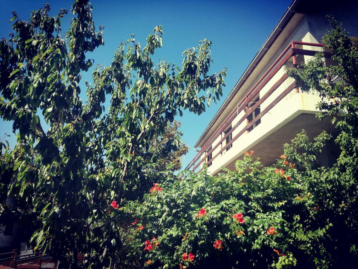 Villa Letina Sukošan Esterno foto
