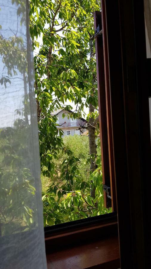 Villa Letina Sukošan Esterno foto